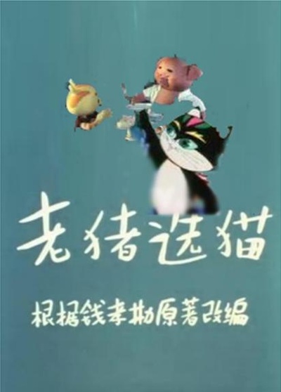 老猪选猫的海报-正式海报