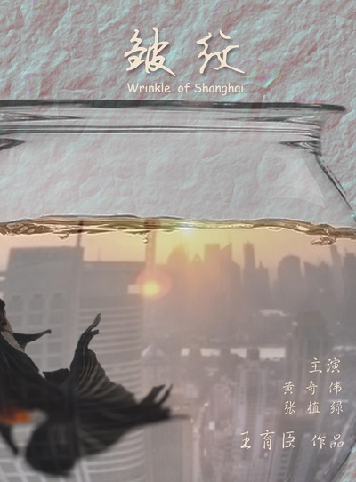 皱纹的海报-正式海报