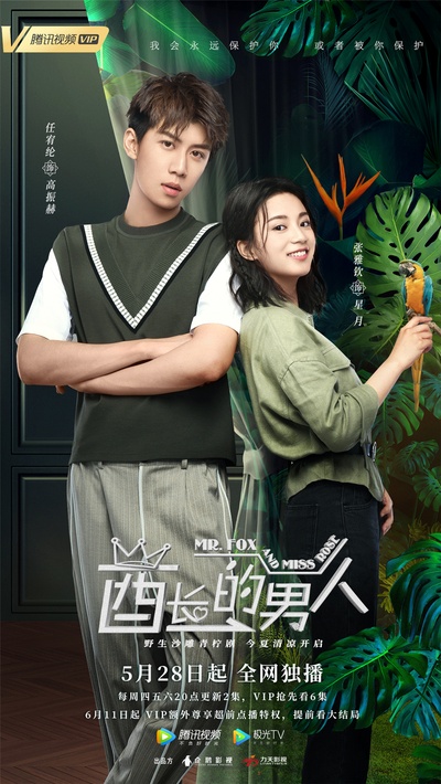 酋长的男人的海报-正式海报 中国大陆