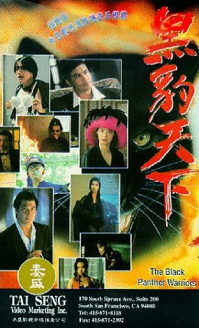 黑豹天下的海报-正式海报