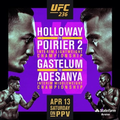 UFC236：霍洛威VS普利瓦尔的海报-正式海报