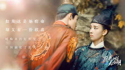 愿我如星君如月的海报-其他海报