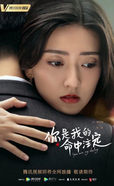 你是我的命中注定的海报-角色海报