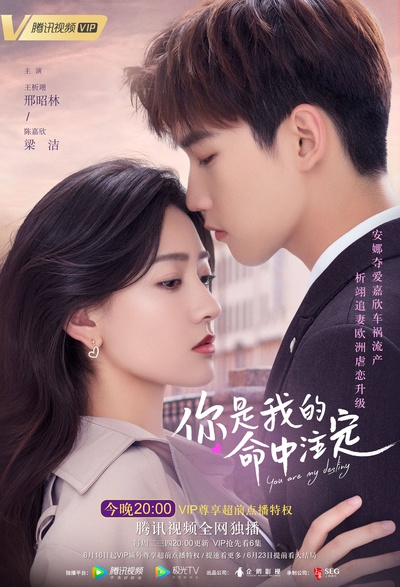 你是我的命中注定的海报-预告海报