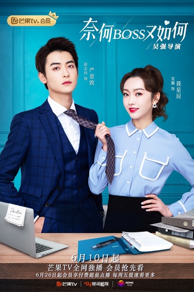 奈何BOSS又如何的海报-正式海报