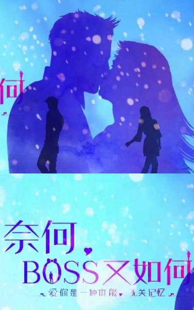 奈何BOSS又如何的海报-其他海报