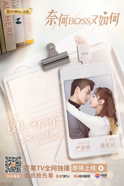 奈何BOSS又如何的海报-预告海报