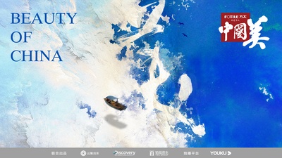 中国美的海报-预告海报