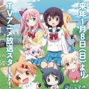 猫咪days