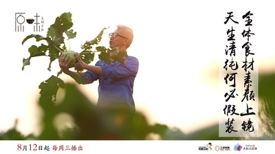 原味 第一季的海报-正式海报