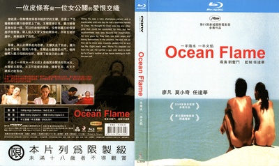 一半海水一半火焰的海报-其他海报