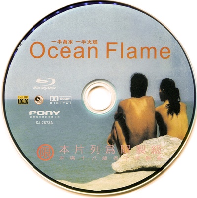 一半海水一半火焰的海报-其他海报