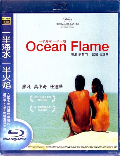 一半海水一半火焰的海报-其他海报