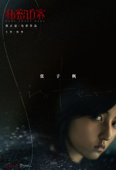秘密访客的海报-角色海报 中国大陆