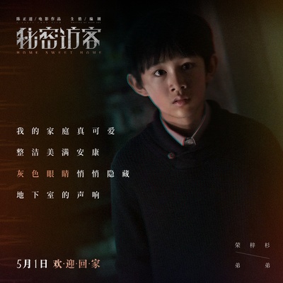 秘密访客的海报-其他海报 中国大陆