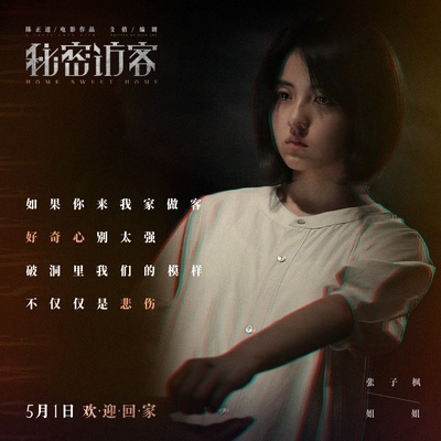 秘密访客的海报-其他海报 中国大陆