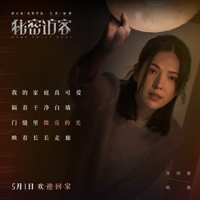 秘密访客的海报-其他海报 中国大陆