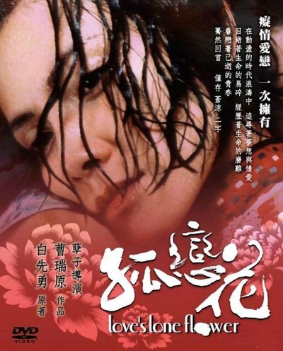 孤恋花的海报-其他海报