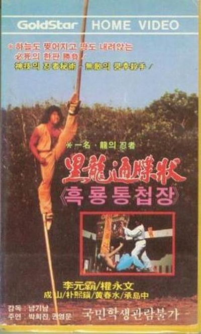 龙之忍者的海报-正式海报 韩国