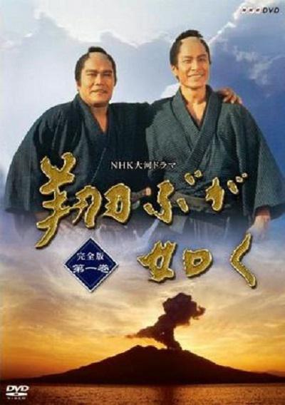 宛如飞翔的海报-正式海报