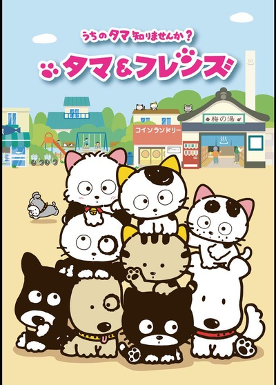 猫狗宠物街的海报-正式海报