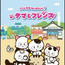 猫狗宠物街
