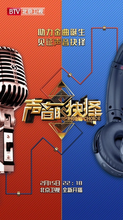 声音的抉择的海报-正式海报