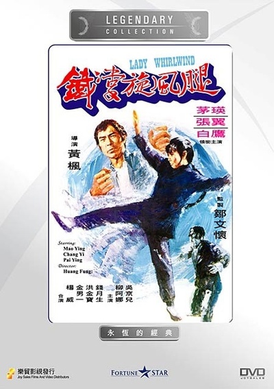 铁掌旋风腿的海报-其他海报