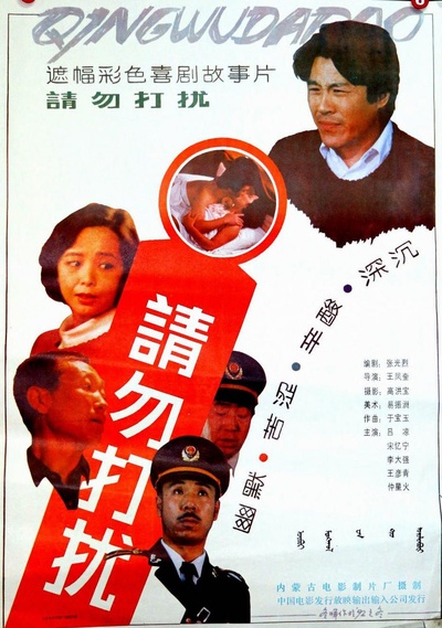 请勿打扰的海报-正式海报