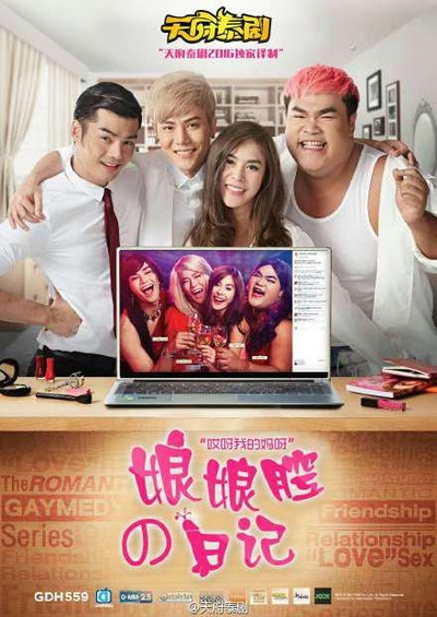 窈窕淑男的日记的海报-正式海报
