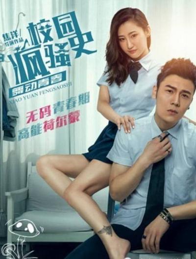 校园疯骚史之舞动青春的海报-正式海报