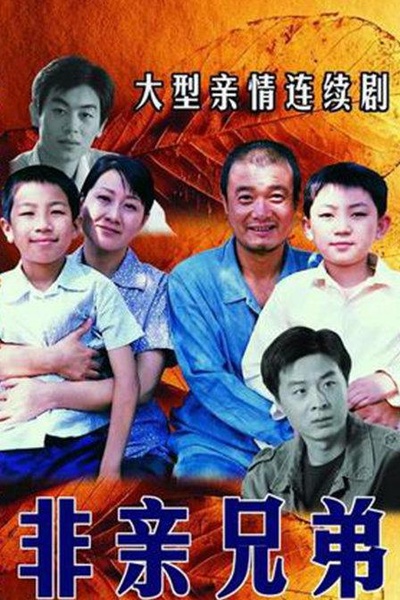 非亲兄弟的海报-正式海报