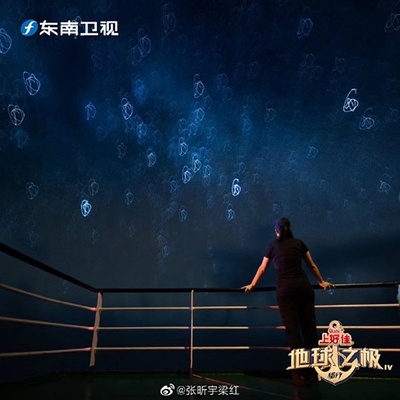 地球之极·侣行：破冰船南极行的海报-预告海报
