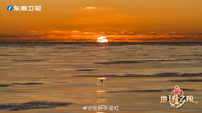 地球之极·侣行：破冰船南极行的海报-预告海报
