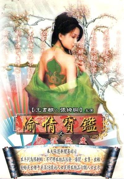 偷情宝鉴的海报-正式海报