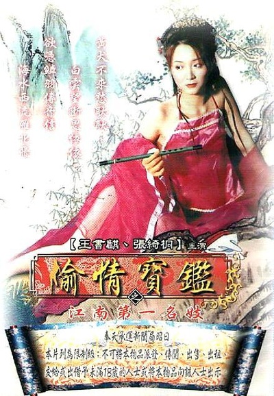 偷情宝鉴的海报-正式海报