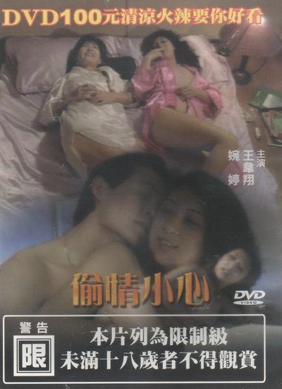 偷情小心的海报-正式海报