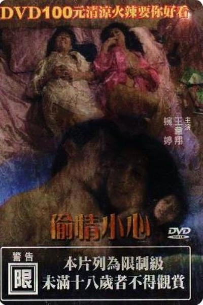 偷情小心的海报-正式海报