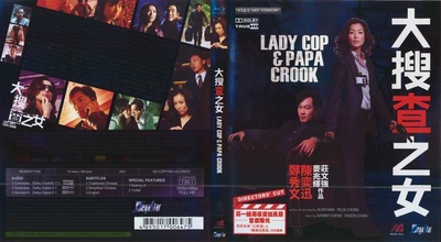 大搜查之女的海报-其他海报