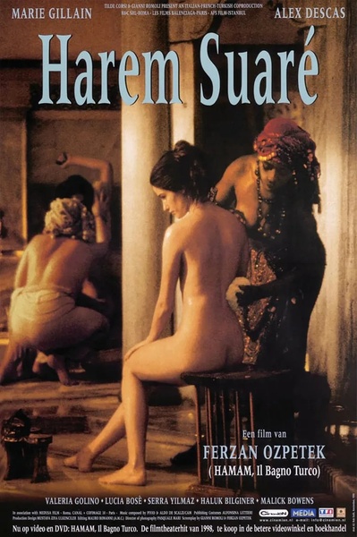 后宫的海报-正式海报