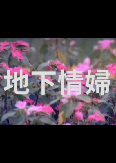 地下情妇的海报-正式海报