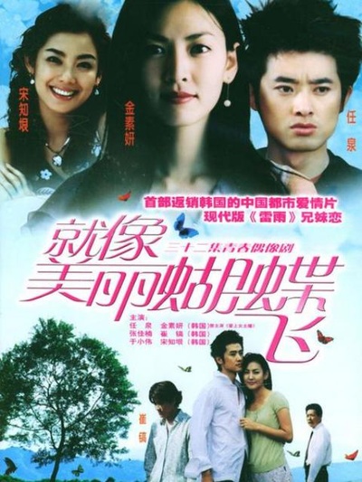 就像美丽蝴蝶飞的海报-正式海报