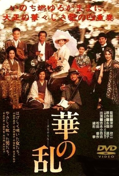 华之乱的海报-正式海报