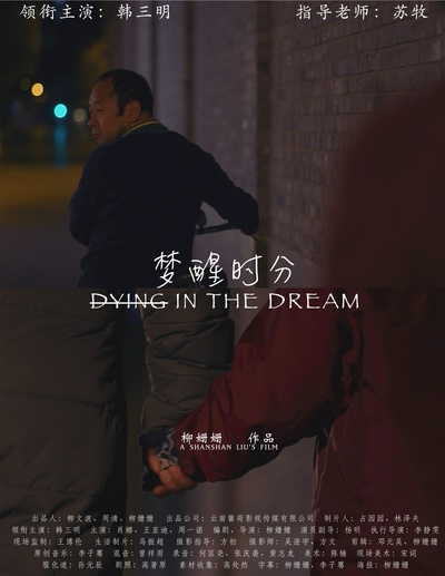 梦醒时分的海报-正式海报