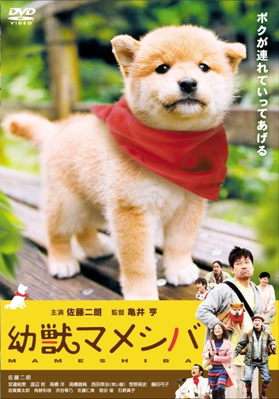 豆柴小犬的海报-正式海报