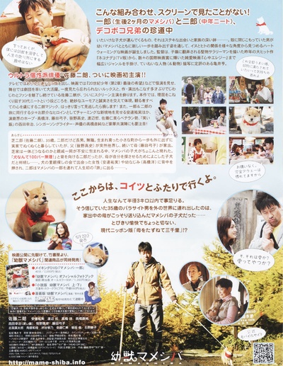 豆柴小犬的海报-其他海报 日本
