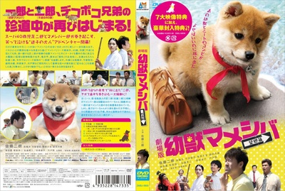豆柴小犬 望乡篇 电影版的海报-其他海报