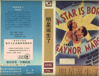 一个明星的诞生的海报-其他海报