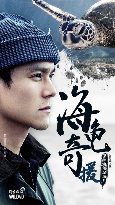 海龟奇援的海报-正式海报