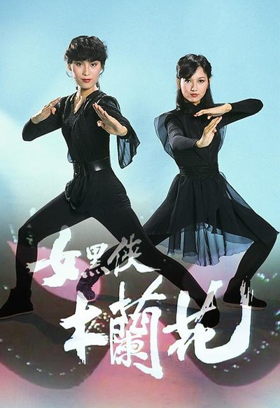 女黑侠木兰花的海报-正式海报
